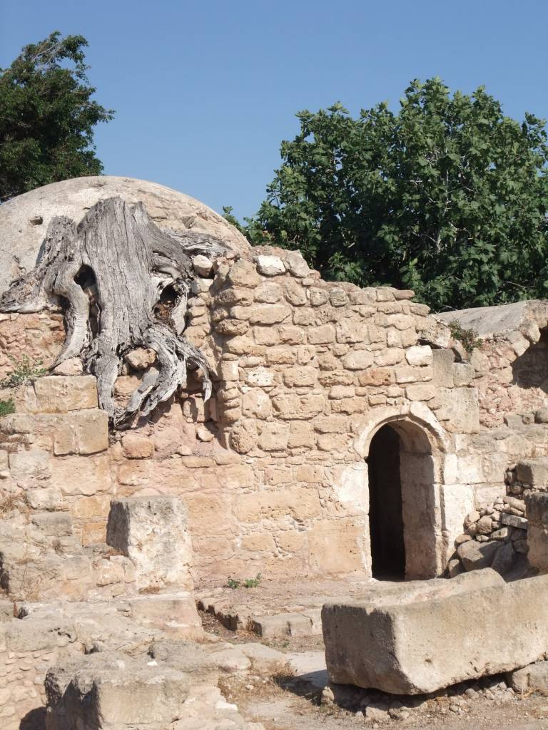 La ville de Paphos et ses alentours: Paphos